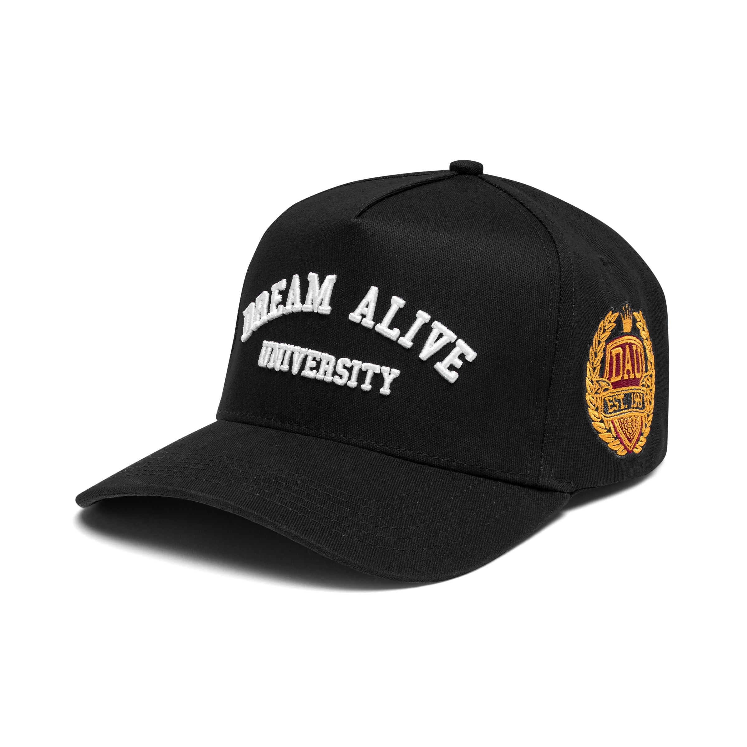 University Snapback (Black) | Dream Alive