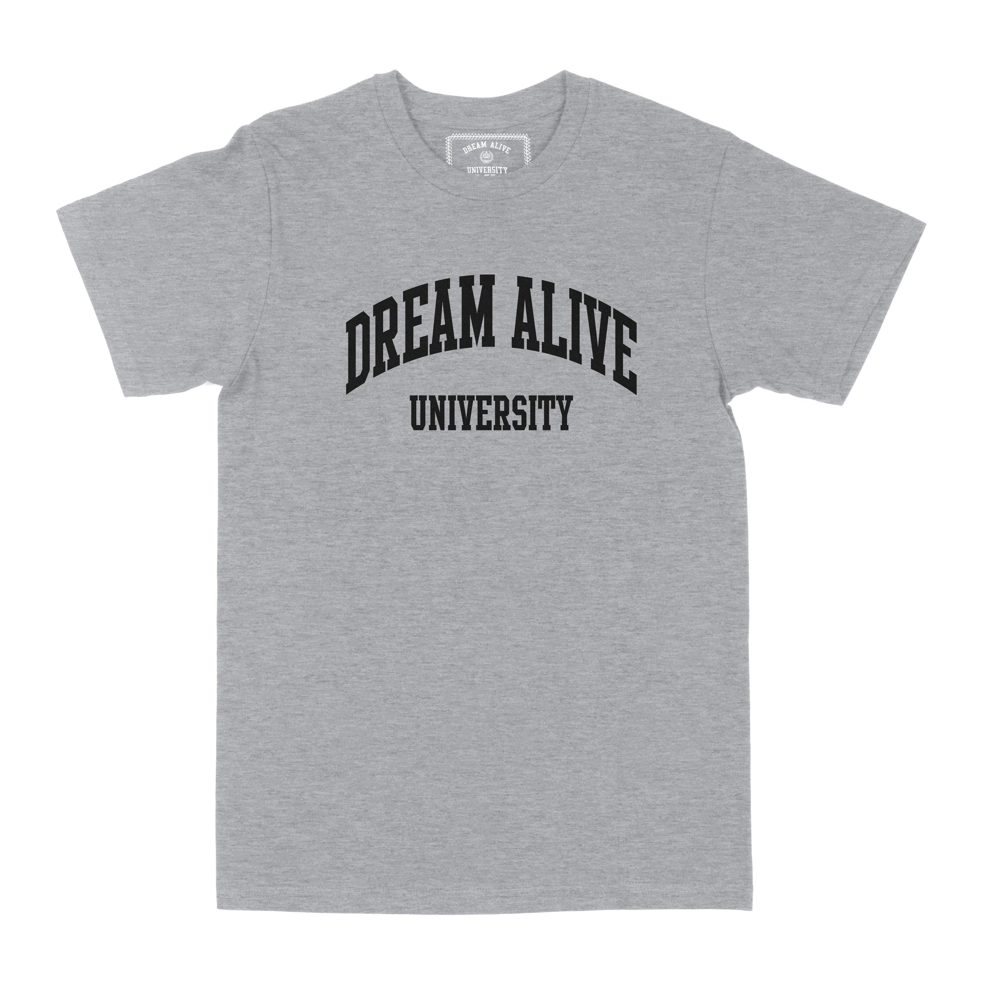 Dream Alive T-shirt (Sport Grey)