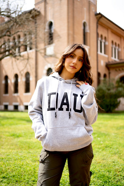 DAU Hoodie (Sport Grey)